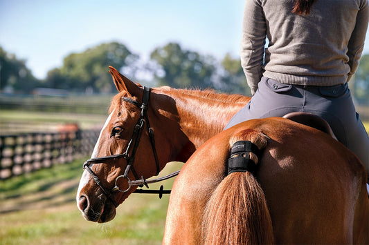 Como entender melhor seu cavalo com Garmin Blaze